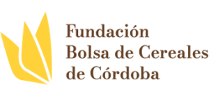 Campus de la Fundación BCCBA